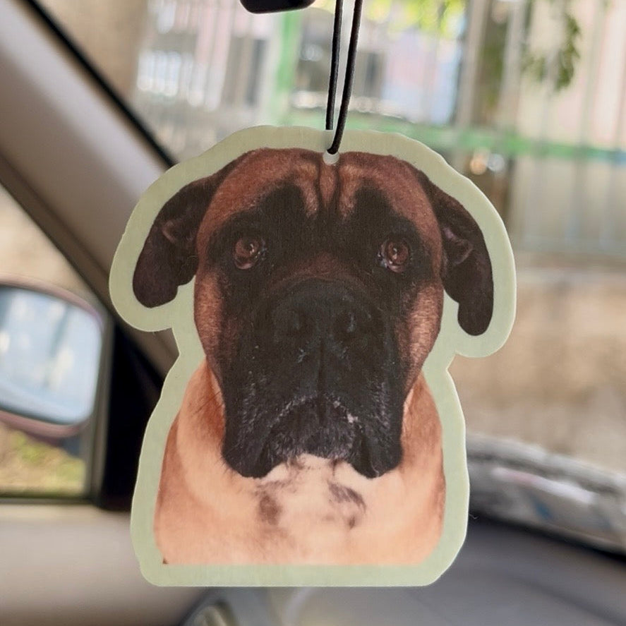 Custom Pet Car Air Fresheners (6 Pack)