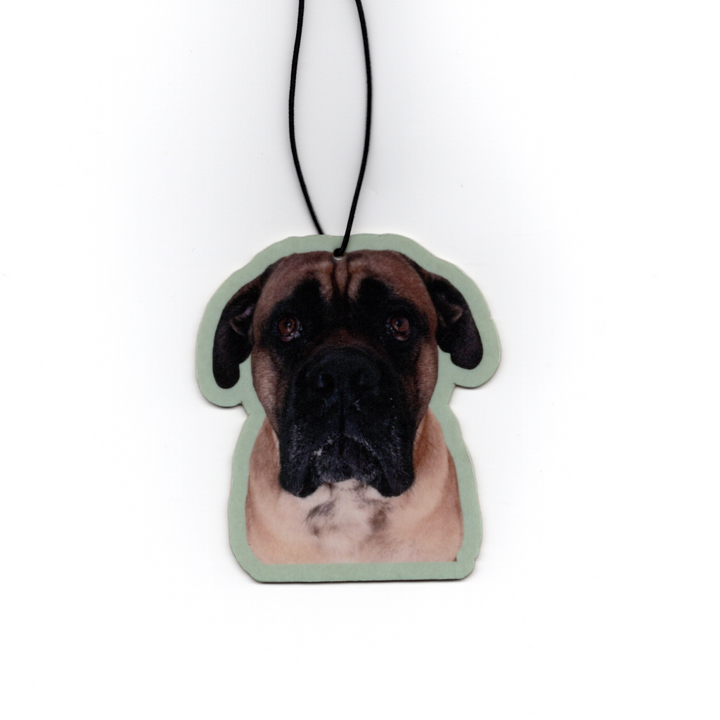 Custom Pet Car Air Fresheners (6 Pack)